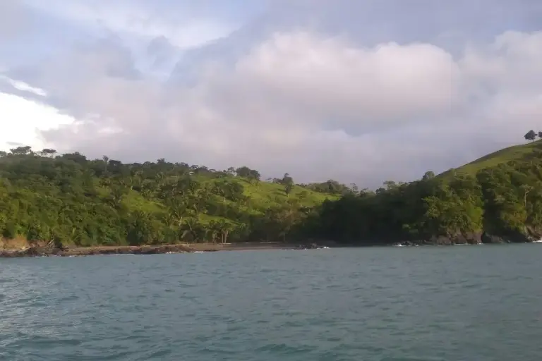 Panama and FAO Partner to Restore 10,000 Hectares of Ecosystems in Azuero and Darién darien forest Azuero and Darién