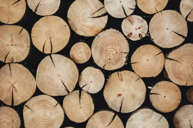 Panama and Jamaica Forge New Trade Partnership Focused on Processed Foods and Construction Materials timber wood