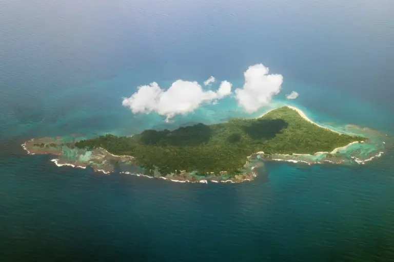 Panama’s Emergency Mission to Save a Wildlife Haven on Escudo de Veraguas Island Escudo de Veraguas island