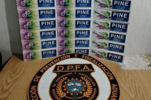 Panama Customs Seizes $5M in Christmas Anti-Smuggling Op pine azuero