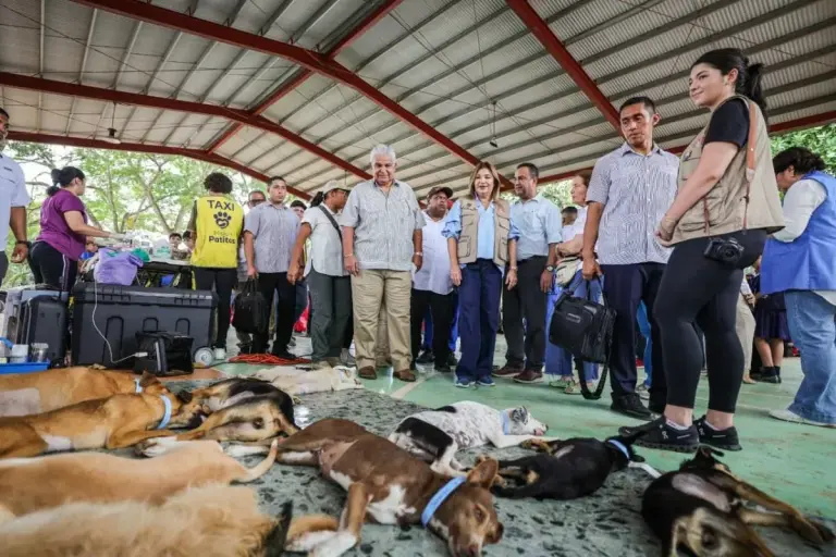 Panama Sterilization Mission Reaches 15580 Pets Nationwide With The Help Of The First Lady presidente y primera dama llevan mision patitas y feria interinstitucional a la pintada 12jpg 1763148593