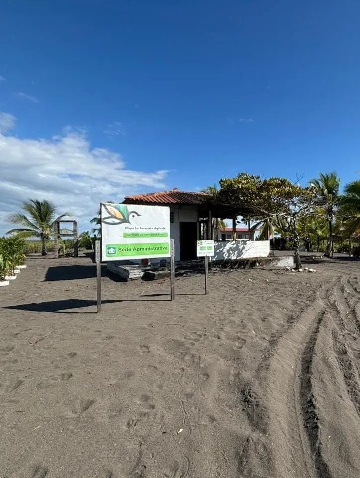 turtles miambiente sede admin