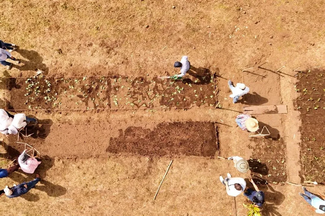 agricultura organica 3 1