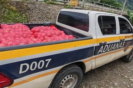 Panama Customs Seizes Undocumented Onions and Cigarettes cebolla retenida