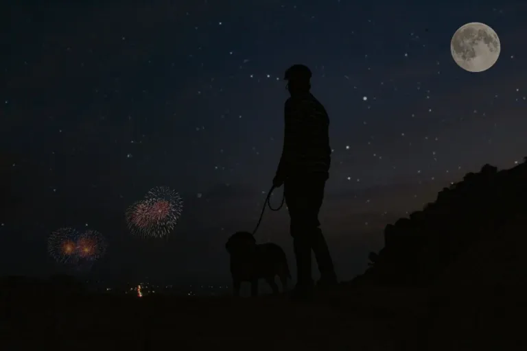 dog fireworks