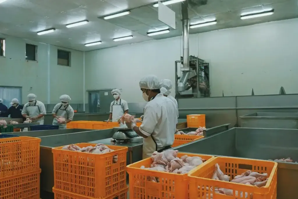 food import / export
