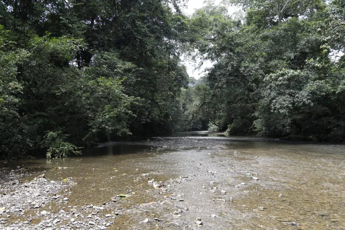 Parque Nacional Portobelo 7 scaled