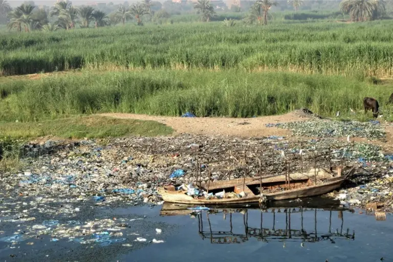 Panama Creates Specialized Environmental Crime Task Force river rubbish