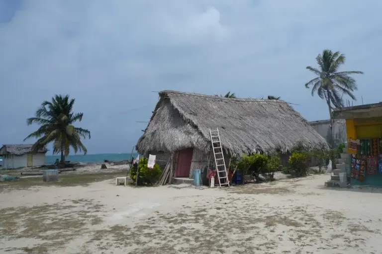 UNESCO Places Panama’s Traditional Wattle and Daub on Urgent List Unisco Heritage House Panama