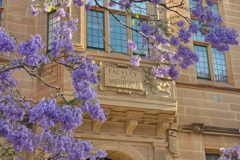 Panama Judge Suspends Medical Dean in Salary Fraud Case university image medicine