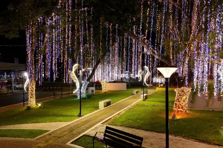 decorated park panama
