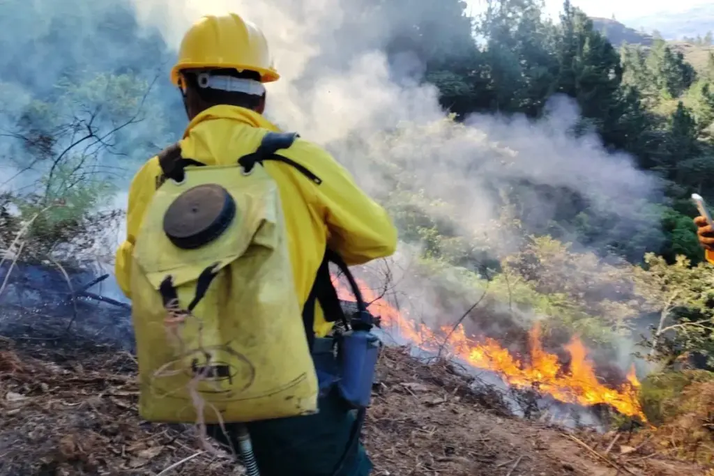 forest fire panama