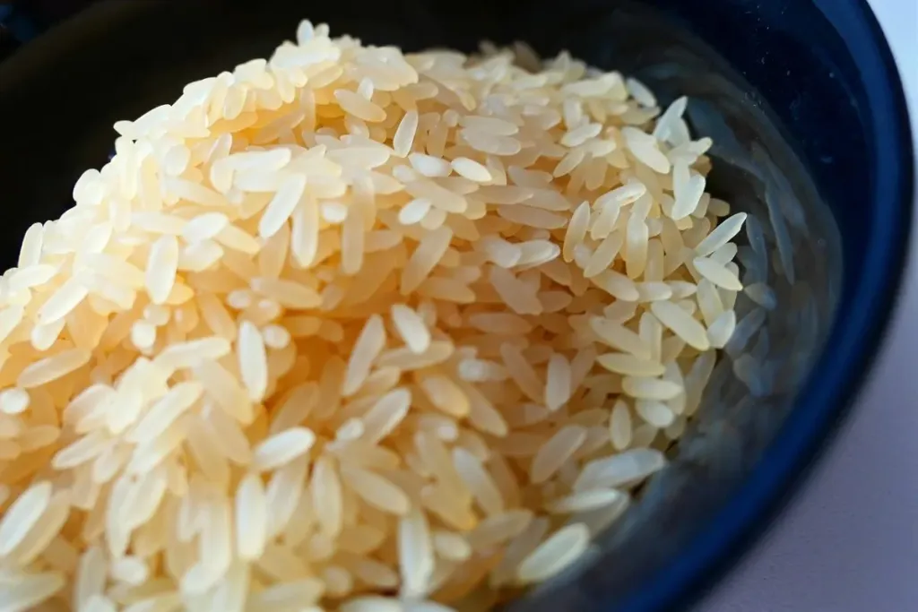 Rice Farm Production