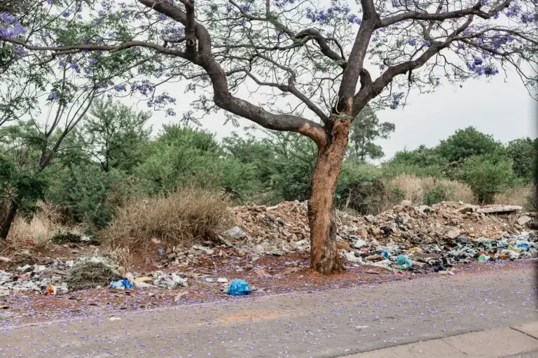 road side rubbish