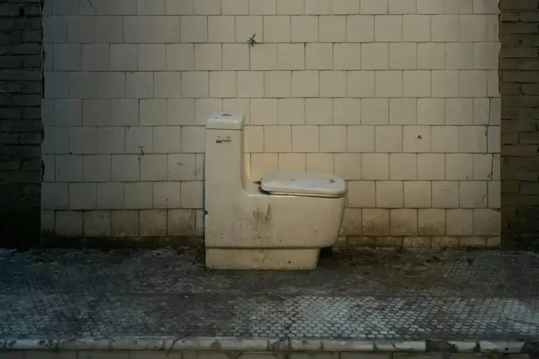 discarded toilet