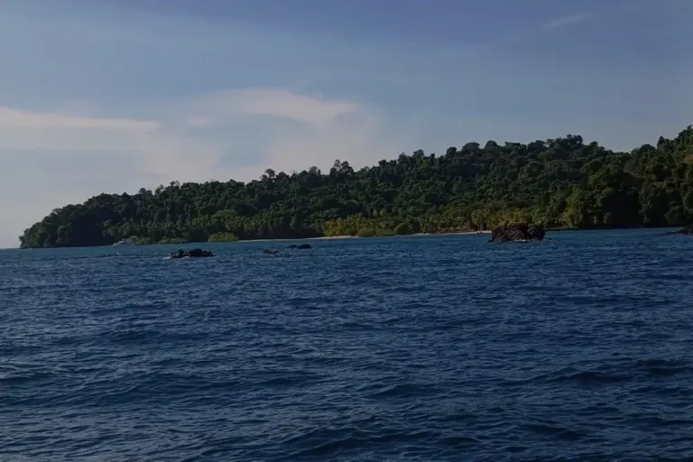 coiba death drowning tour guide
