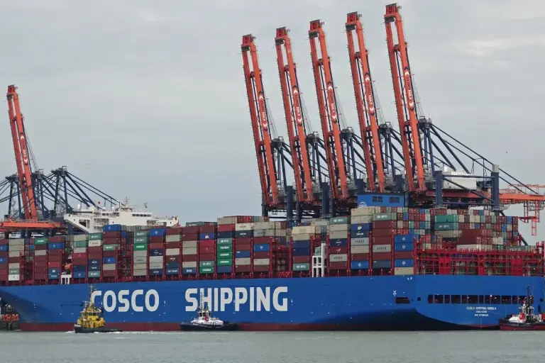 COSCO NEBULA , RPA 15 , BEAGLE , SMIT PANTHER (49232623631)