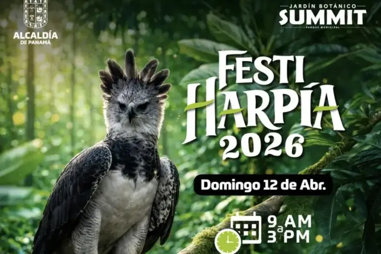 Panama City Hosts National Harpy Eagle Day at Summit Botanical Garden day of harpy eagle