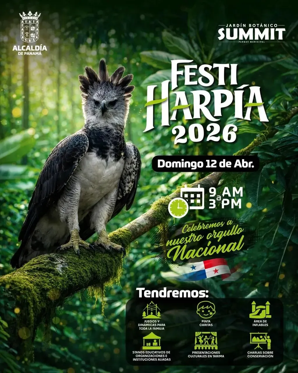 fiesta harpia