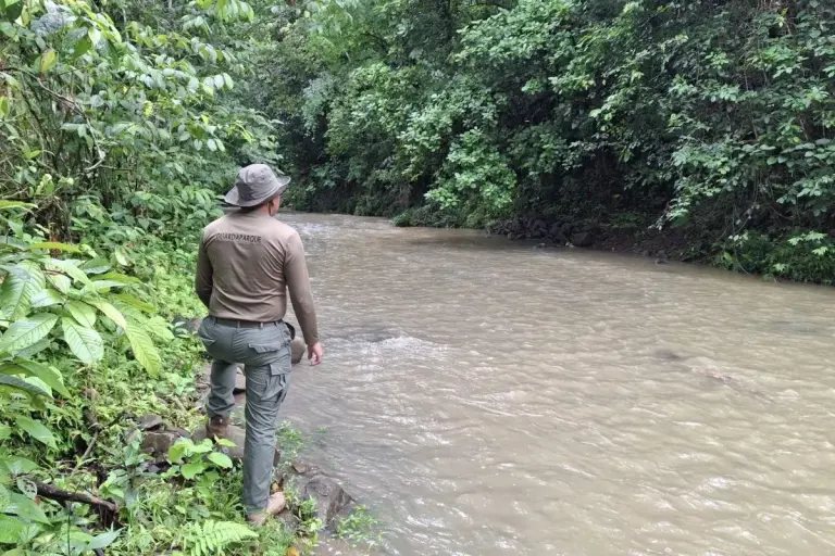 illegal mining alert donoso