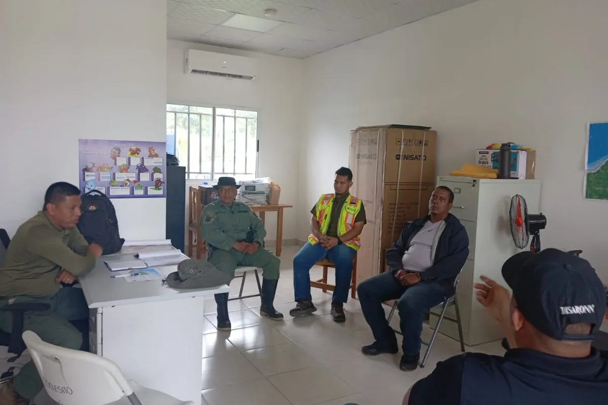 illegal mining alert donoso 2