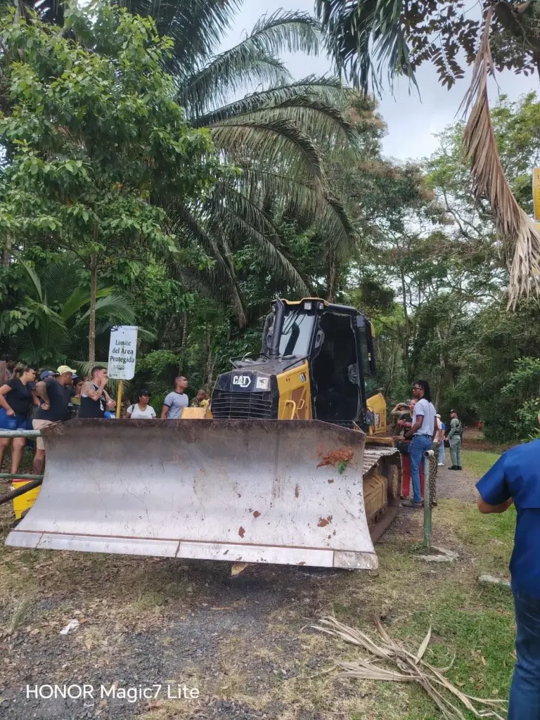 Panama Halts Illegal Logging in Gatun Lake Protected Area lake gatun illegal deforestation 1