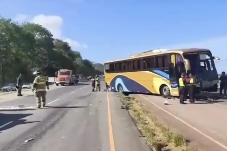 multiple vehicle collision bus nata