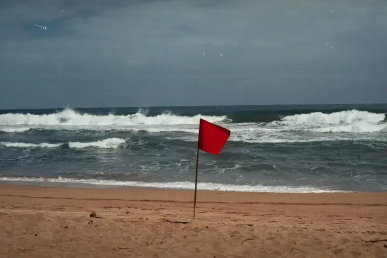 red flag on beach