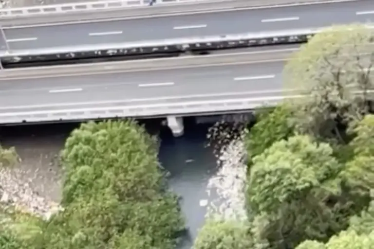 Massive Trash Wave Hits Panama City’s Matías Hernández River trash wave river matias hernandez panama