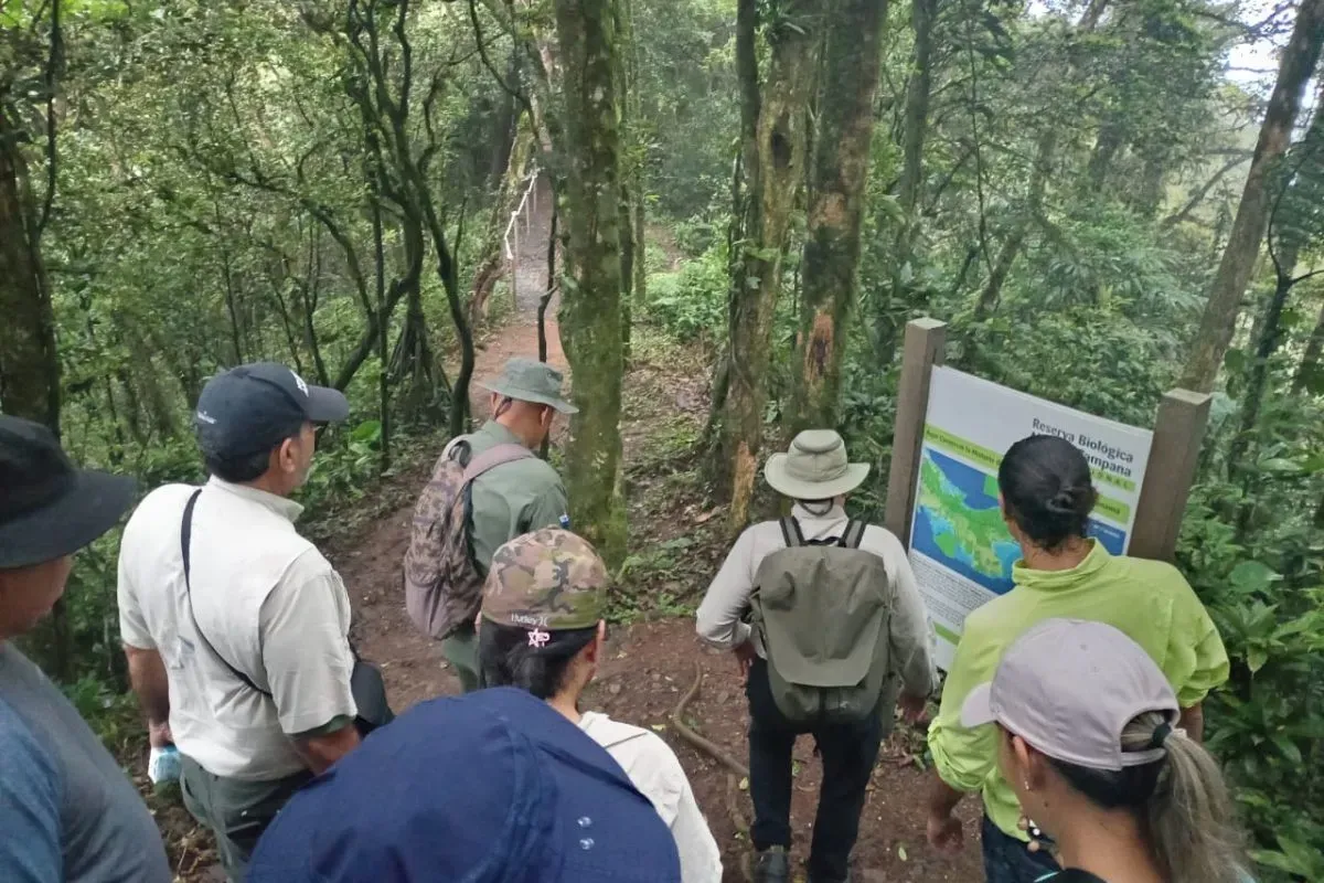 Cerro de La Cruz del Parque Nacional Altos de Campana 2