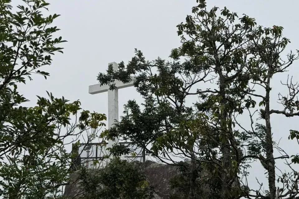 Cerro de La Cruz del Parque Nacional Altos de Campana 3