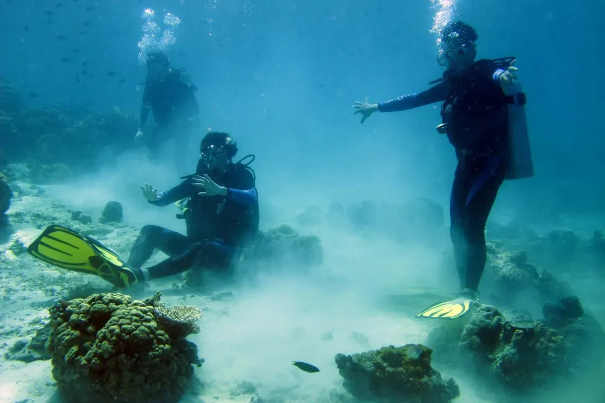 Divers coming into contact with coral