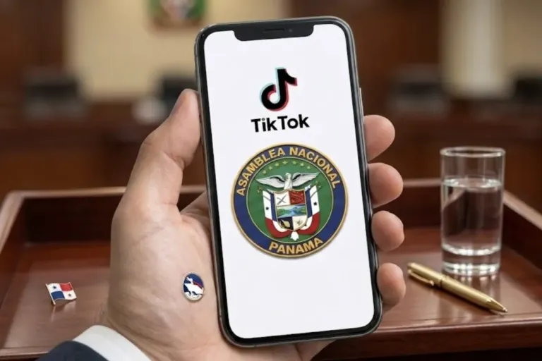 tiktok for lawmakers national assembly