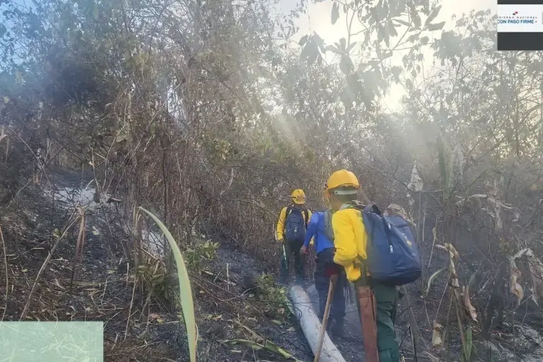 wildfire darien