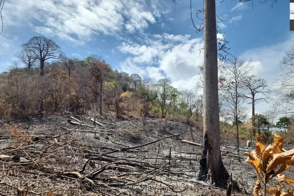 wildfire darien 3