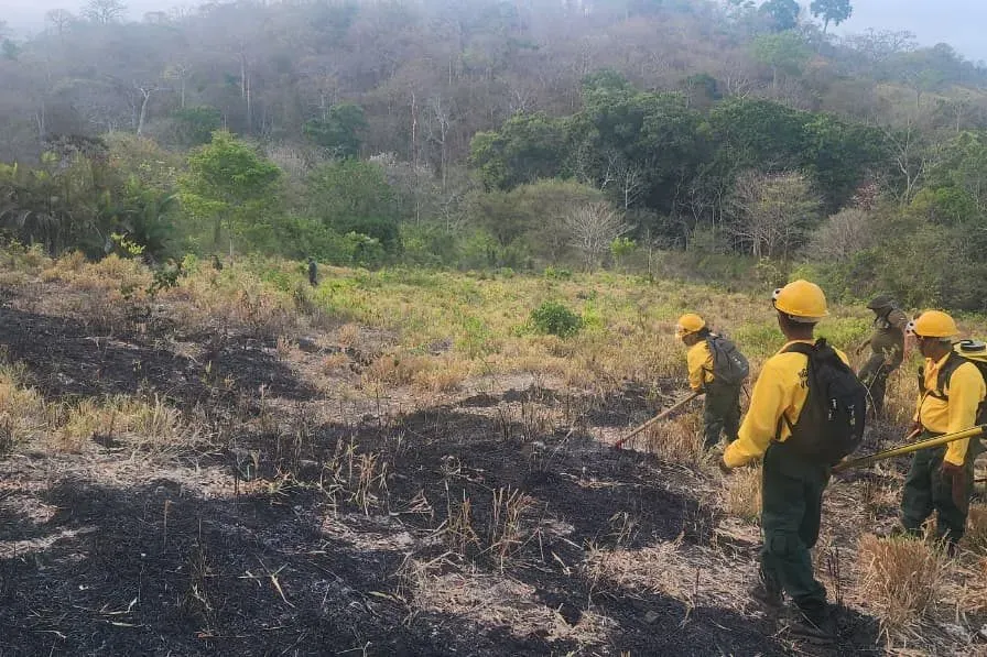 wildfire darien2