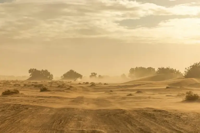 saharah dust
