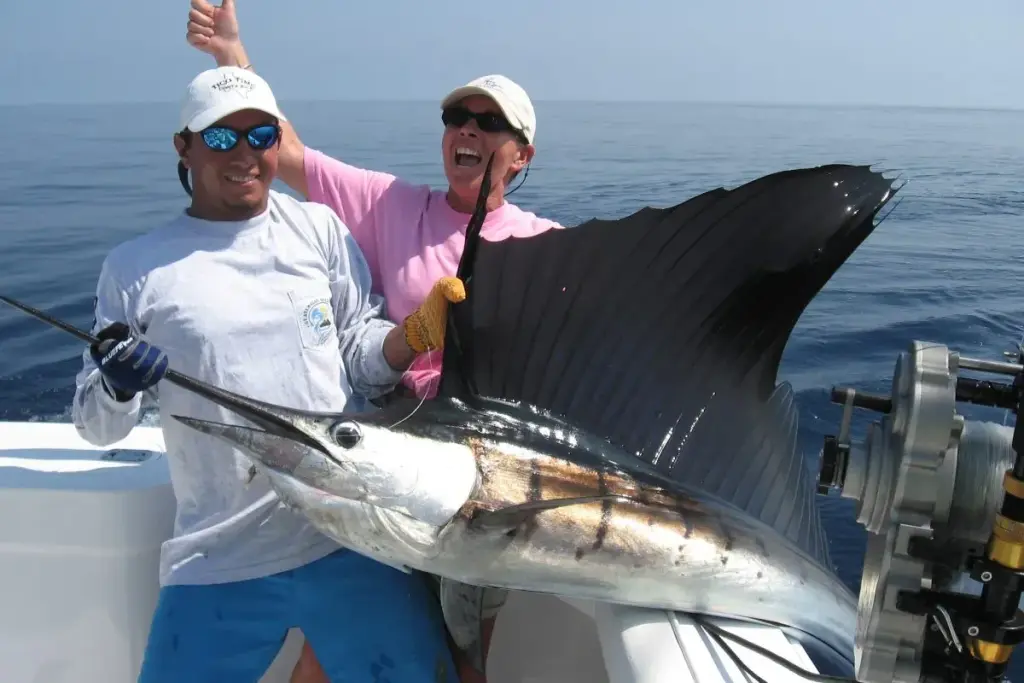 sport fishing marlin swordfish billfish panama