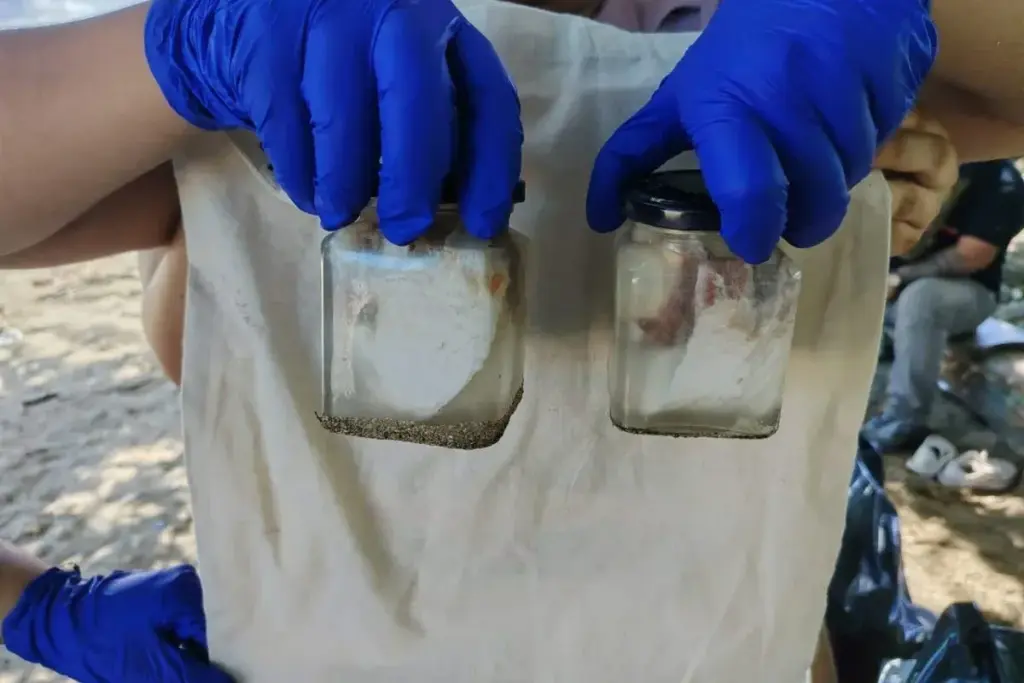 whale shark samples