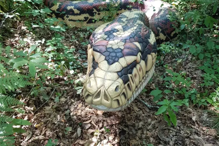 1920px Titanoboa par Florent Rivère