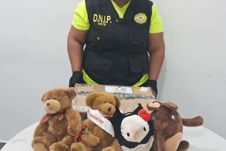 Panama Seizes Drugs Hidden Inside Teddy Bears in Raid drugs inside of teddy bear plush toys by policia nacional