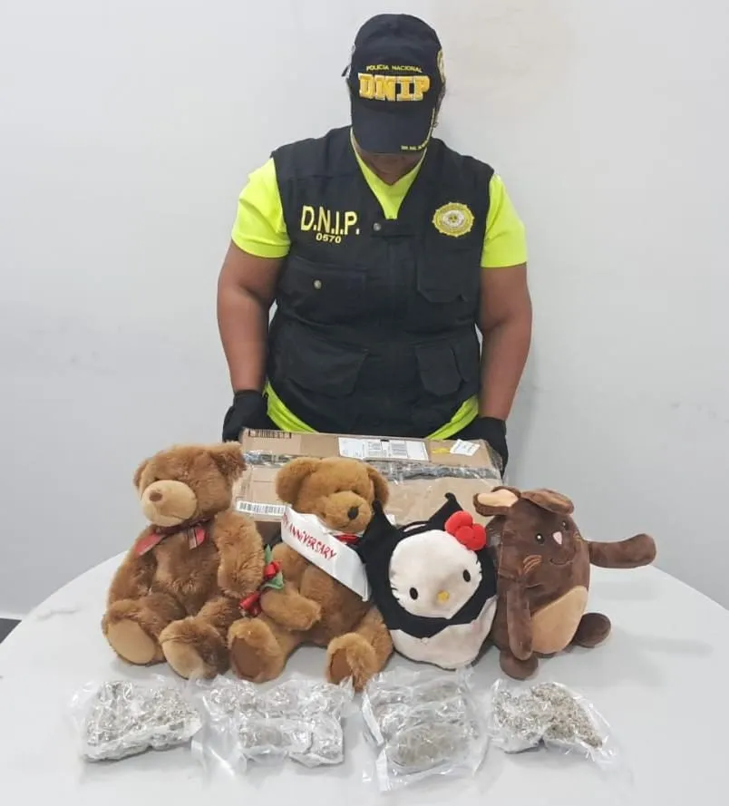 drugs inside of teddy bear plush toys by policia nacional