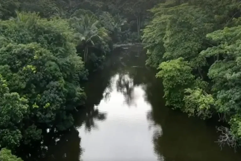 Panama’s Lake of the Andes Gets a Second Chance Lago de Los Andes / Lake of Andes San Miguelito Panama City