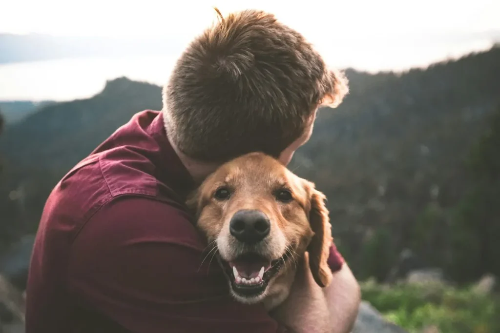 owner hugging a dog