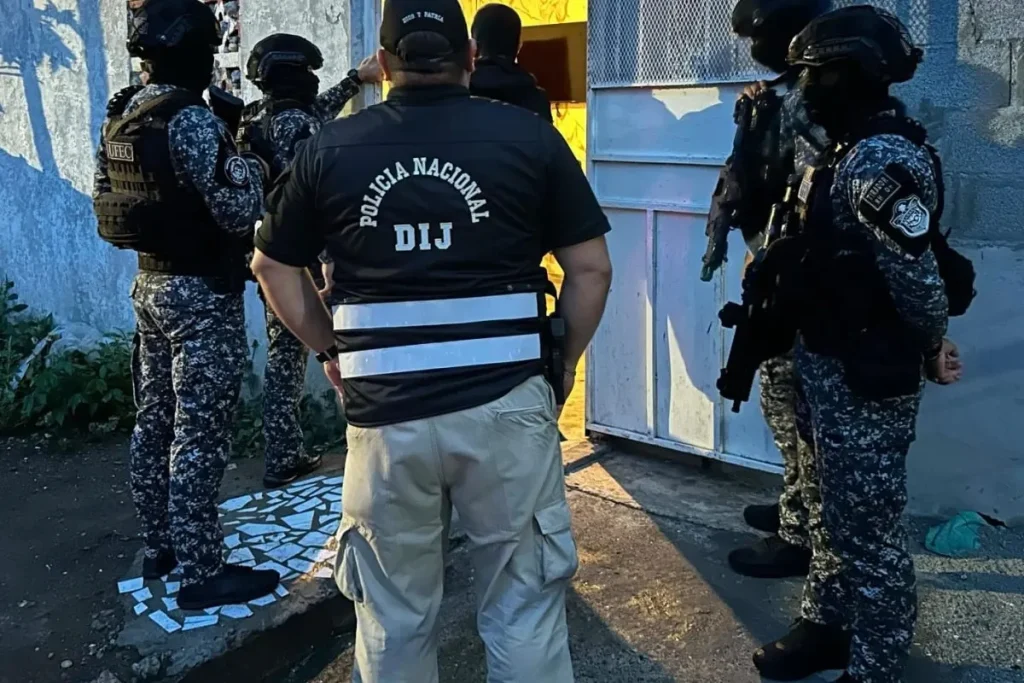 REAL ESTATE SCAM NETWORK DISMANTLED by national police