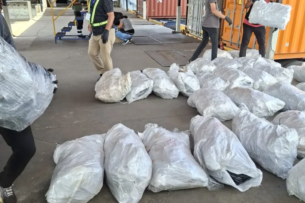 109 sacks of shark fins destined for Malaysia detained in Manzanillo Port Credit MiAmbiente