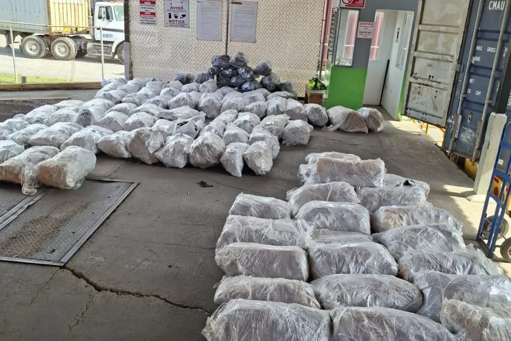 109 sacks of shark fins layed out destined for Malaysia detained in Manzanillo Port Credit MiAmbiente