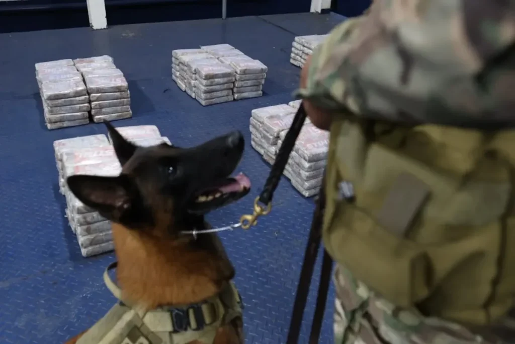 Air and Naval Service intercepts 320 packages of suspected drugs in transit through Panama with Dog Credit Aeronaval
