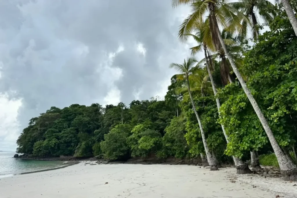 Beach in Gulf of Chiriquí National Marine Park Credit MiAmbiente