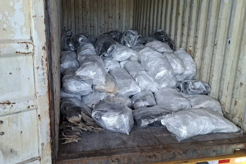 container content 109 sacks of shark fins destined for Malaysia detained in Manzanillo Port Credit MiAmbiente